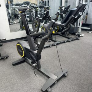 Technogym SkillBike