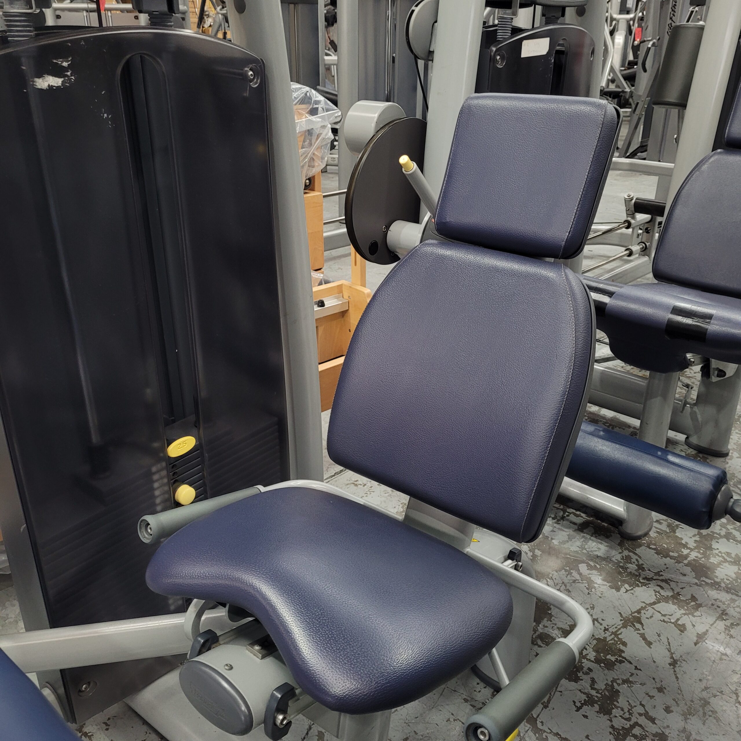 Technogym Selection Leg Curl - Silver Frame - Image 4