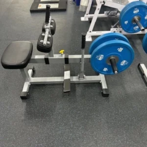 Generic Seated Calf