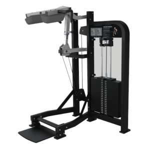 Life Fitness Pro2 Standing Calf Raise