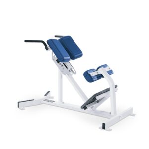 Hammer Strength Back Extension
