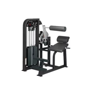 Hammer-Strength-Back-Extension