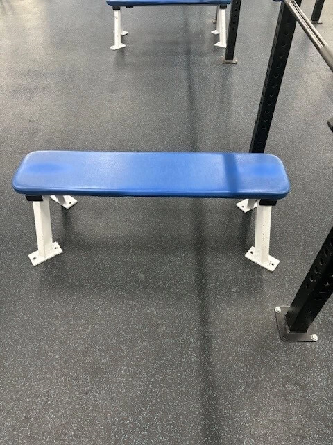Hammer Strength Flat Bench