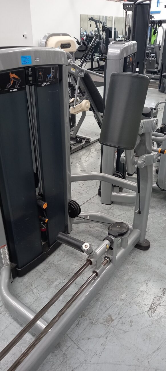 Life Fitness Insignia Glute Grays Fitness
