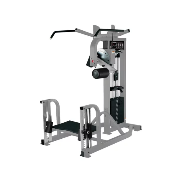 Life Fitness Pro2 Hip and Glute