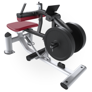 Life Fitness Seated Calf Raise