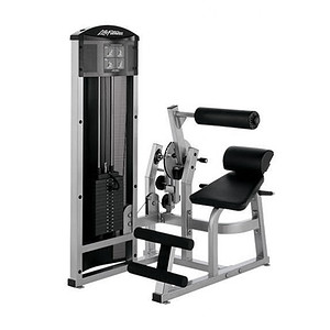 Life Fitness Back Extension & Abdominal Combo Machine