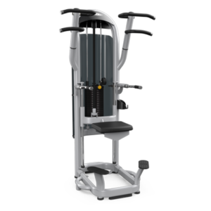 Matrix Aura Assisted Chin Dip