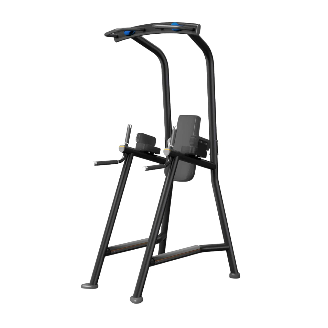 Matrix Magnum Chin Dip Leg Raise