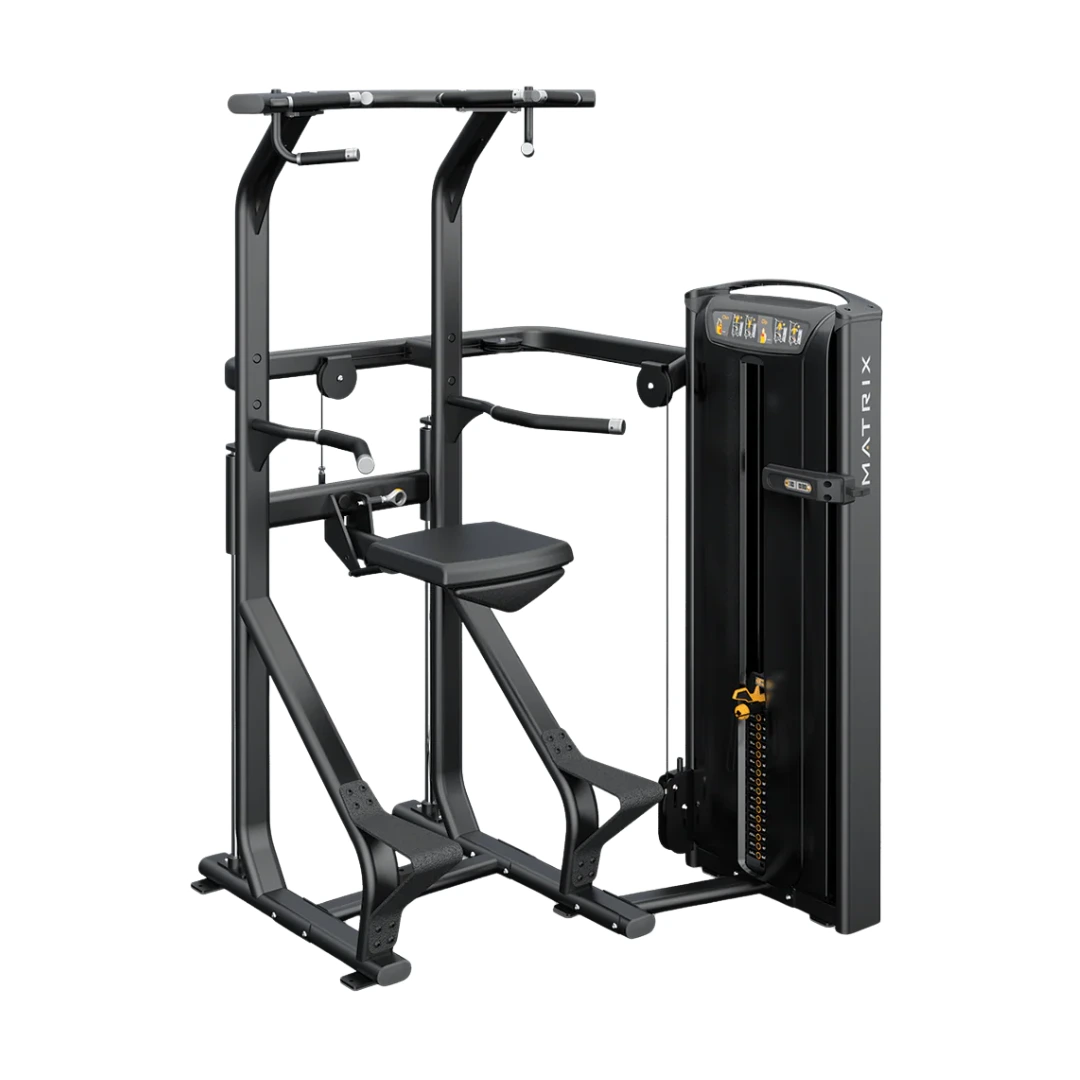 Matrix Versa Assisted Chin Dip