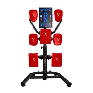 Nexersys Boxing And Martial Art Home Training System