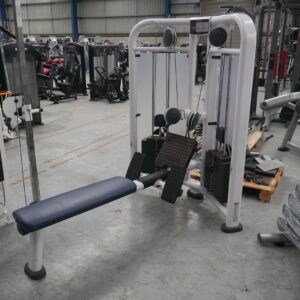 Life Fitness Signature Series Dual Stack Row Machine