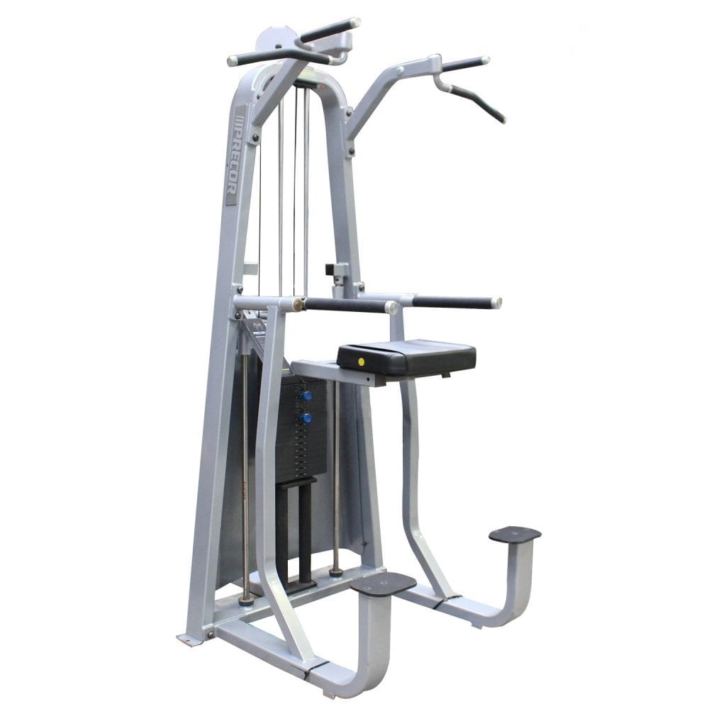 Precor-Chin-Dip-Assist