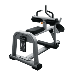 Precor DPL 616 Calf Raise