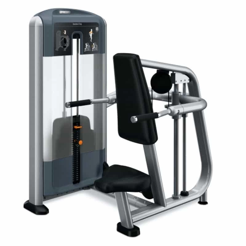 Precor-DSL215-Seated-Dip