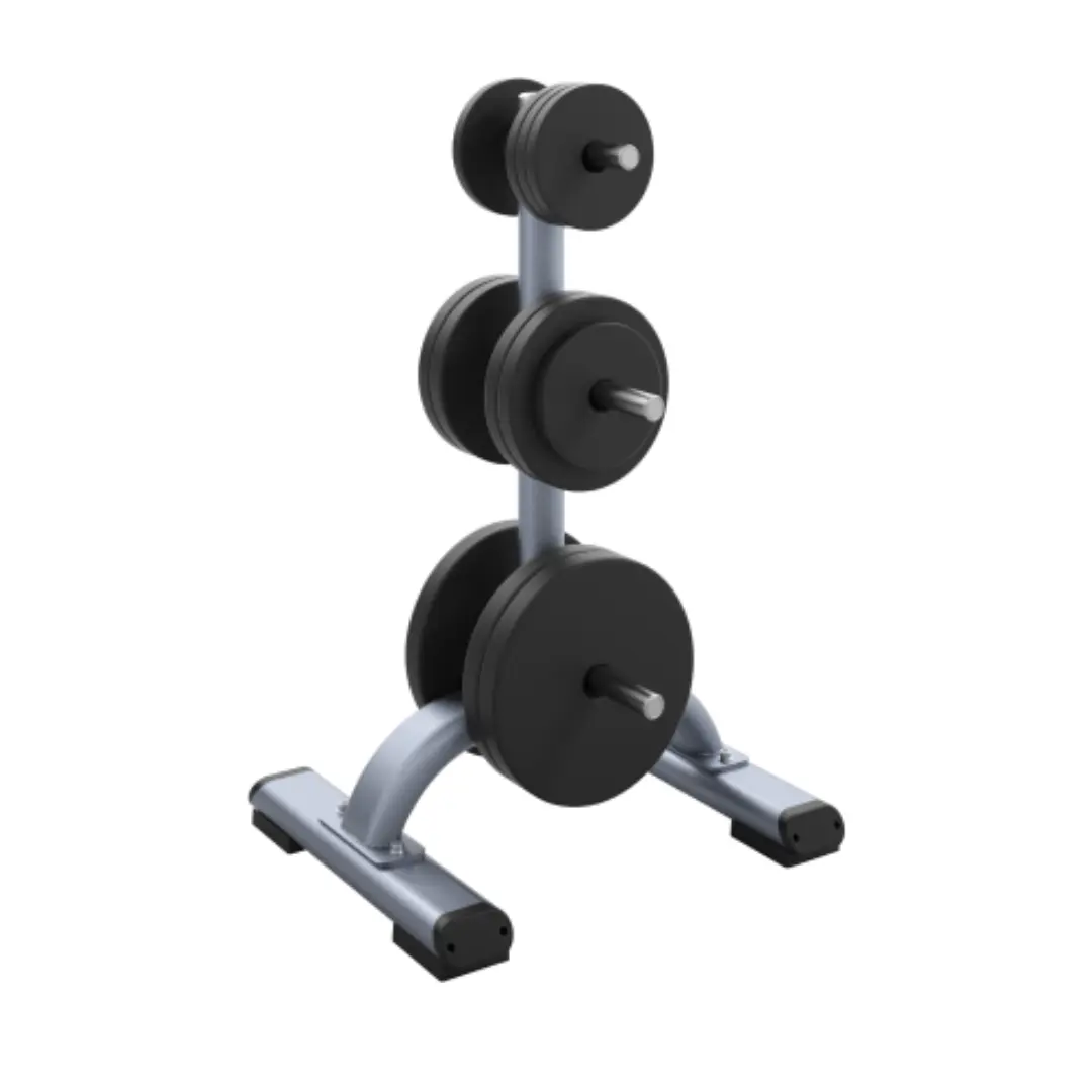 Precor Discovery Weight Plate Tree