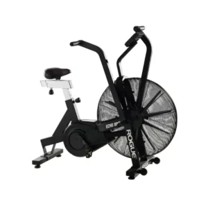 Rogue-Echo-Air-Bike