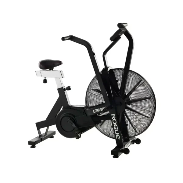 Rogue-Echo-Air-Bike