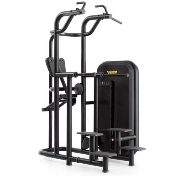 Technogym Kneeling Easy Chin Dip
