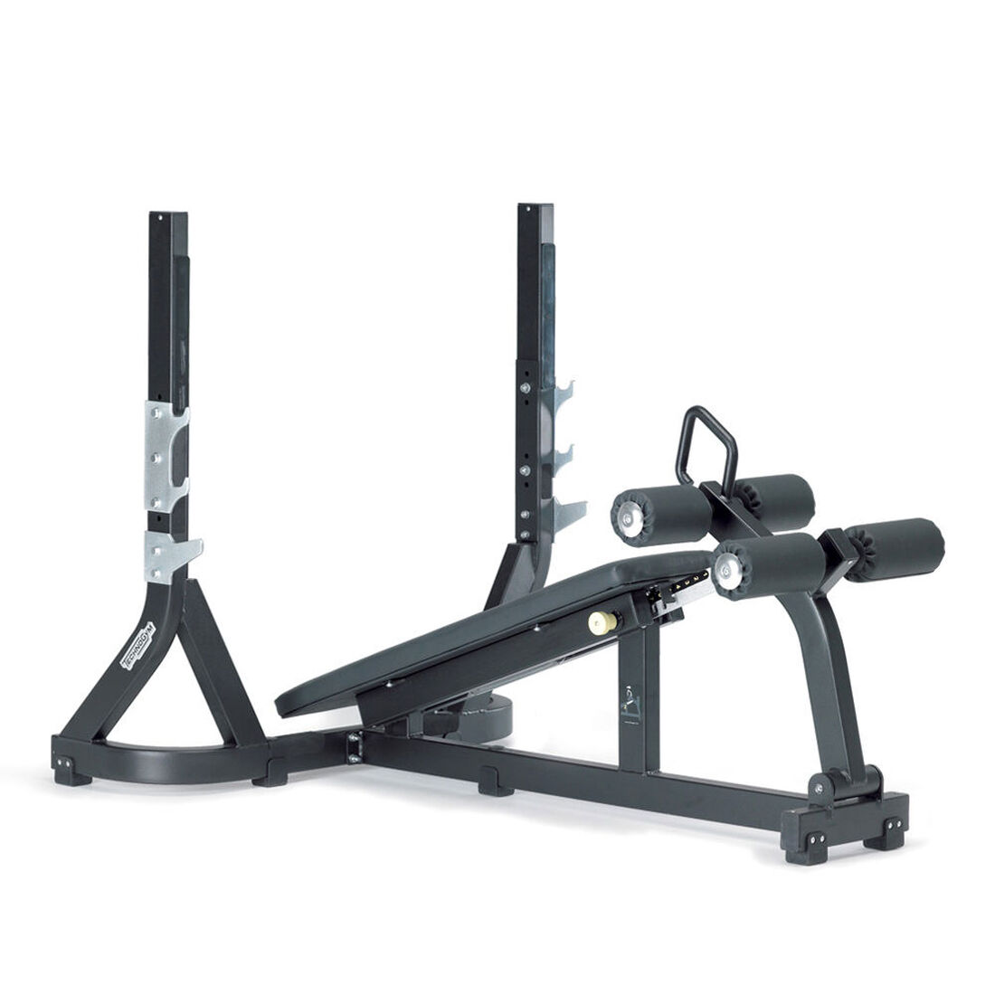 Private: Technogym Pure Strength Olympic Decline Bench Press