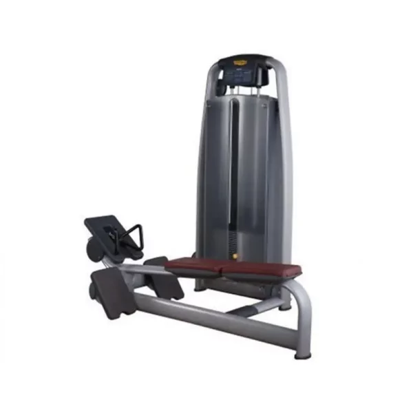 Technogym Selection Cable Row Pulley