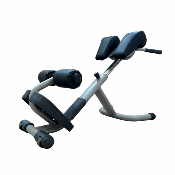 テクノジム ロー ワーバックベンチ Technogym Lower Back Technogym Selection Lower Back Bench / Hyperextension | Grays Fitness