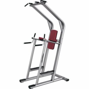 Life Fitness Signature Series Chin Dip/Leg Raise