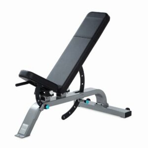 Precor Adjustable Bench