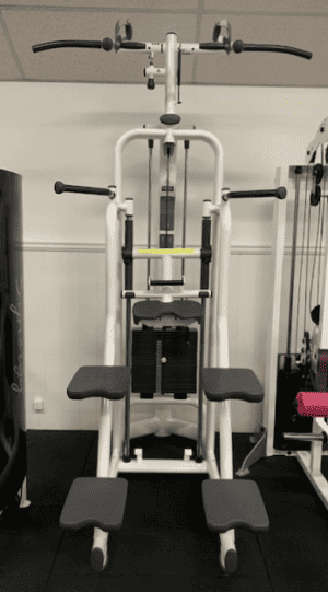 technogym assisted chin dip