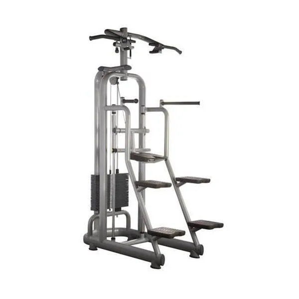 technogym-selection-chin-dip
